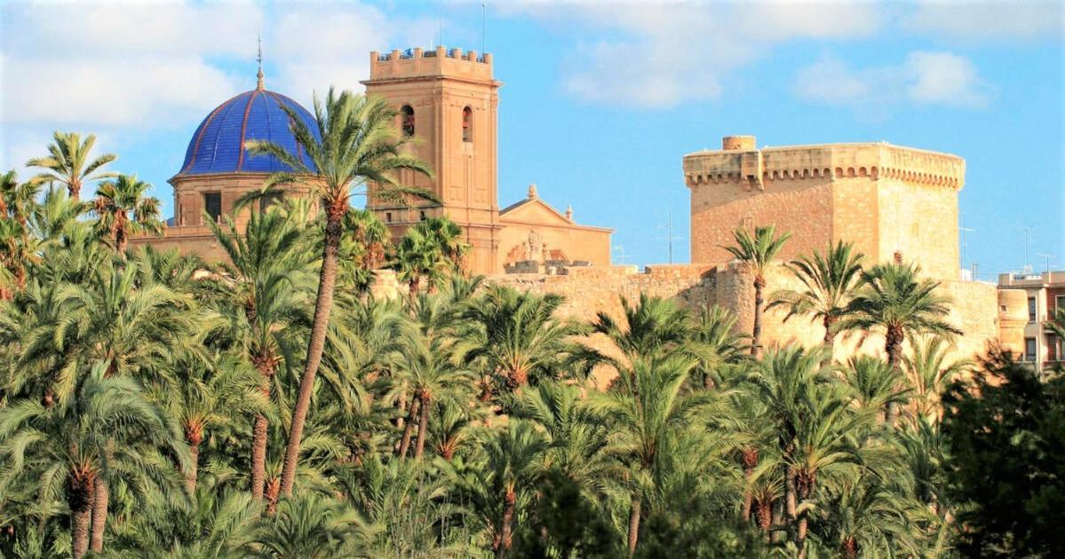 Apartment With Pool, Sea Views & Balcony Less Than 10Min Walk To La Mata Beach! Torrevieja Exterior photo